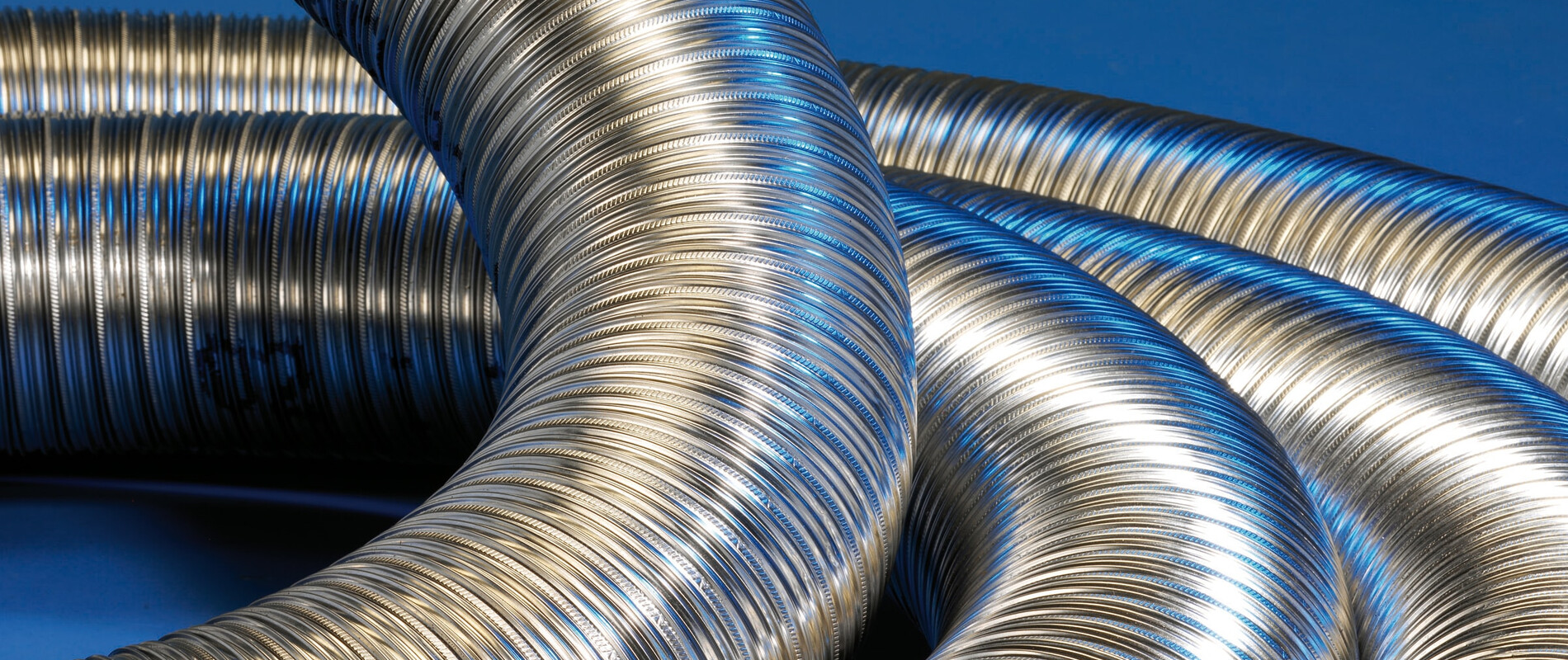 Image Title: If somebody hovers the image it appears.