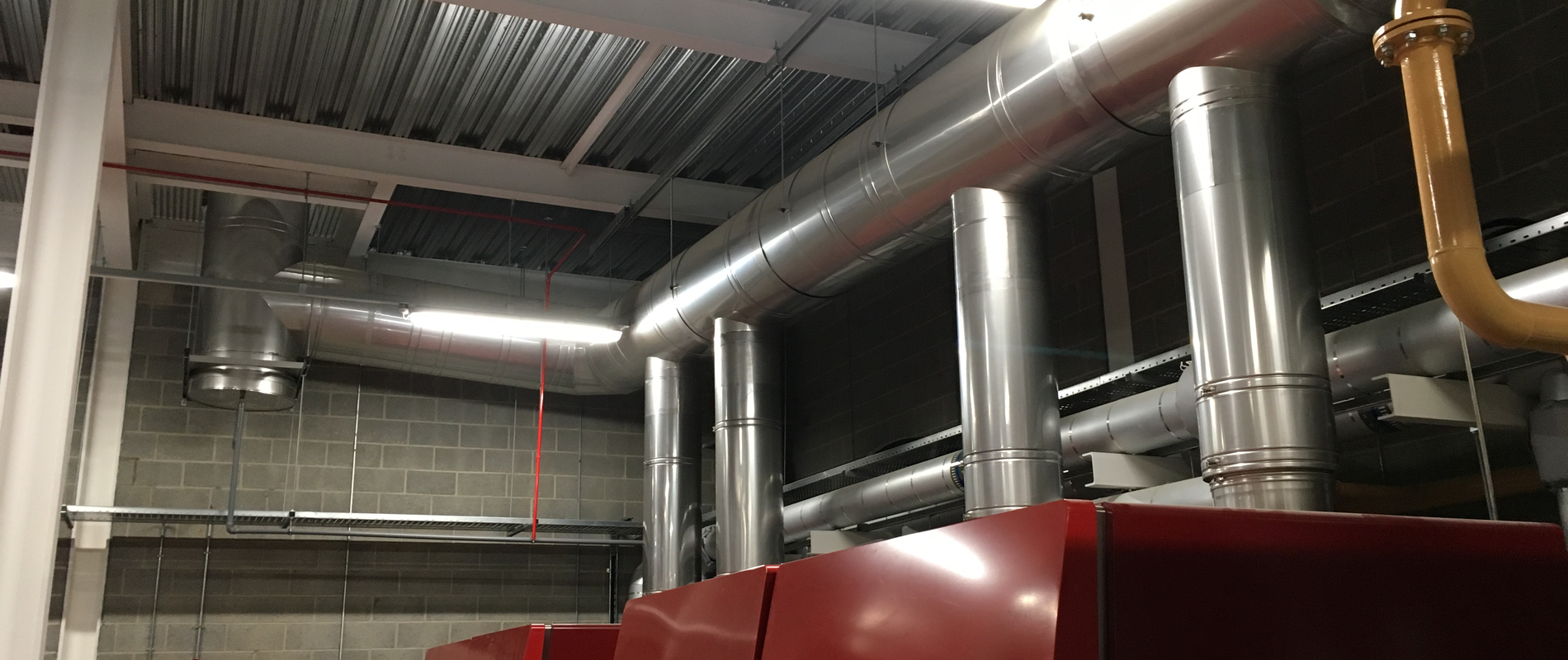 Generator aus der Lebensmittelindustrie