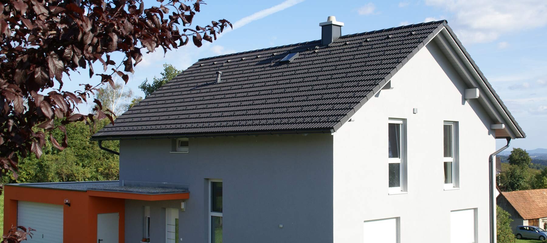 Image Title: If somebody hovers the image it appears.