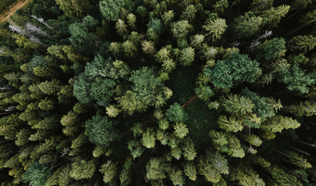 Mitarbeiter aus Großbritanien | © Olena Sergienko