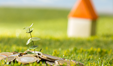 Növekvő zöldhajtás | ©  Freepik - master1305