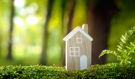 Zöld, erdei inspiráció